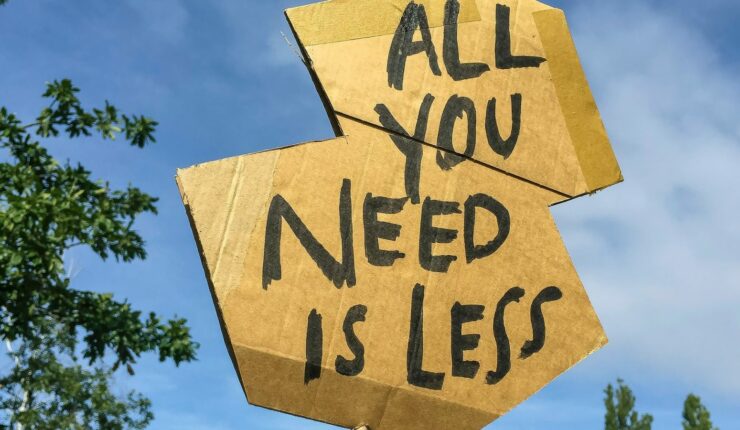 etienne girardet climate change all you need is less sign covid great reset cropped 2000x900 1