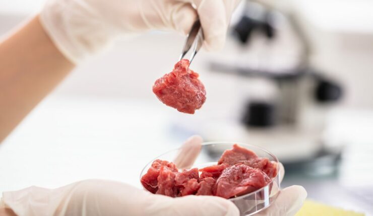lab grown meat 1140x760 1
