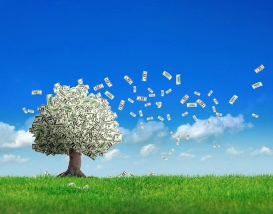 money tree biodiversity