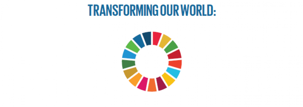 Die "transformativen" SDGs